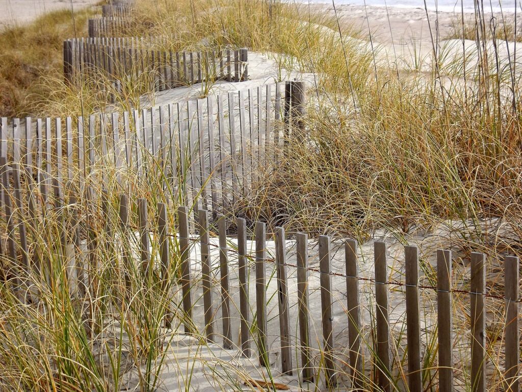grasses, fence, beach