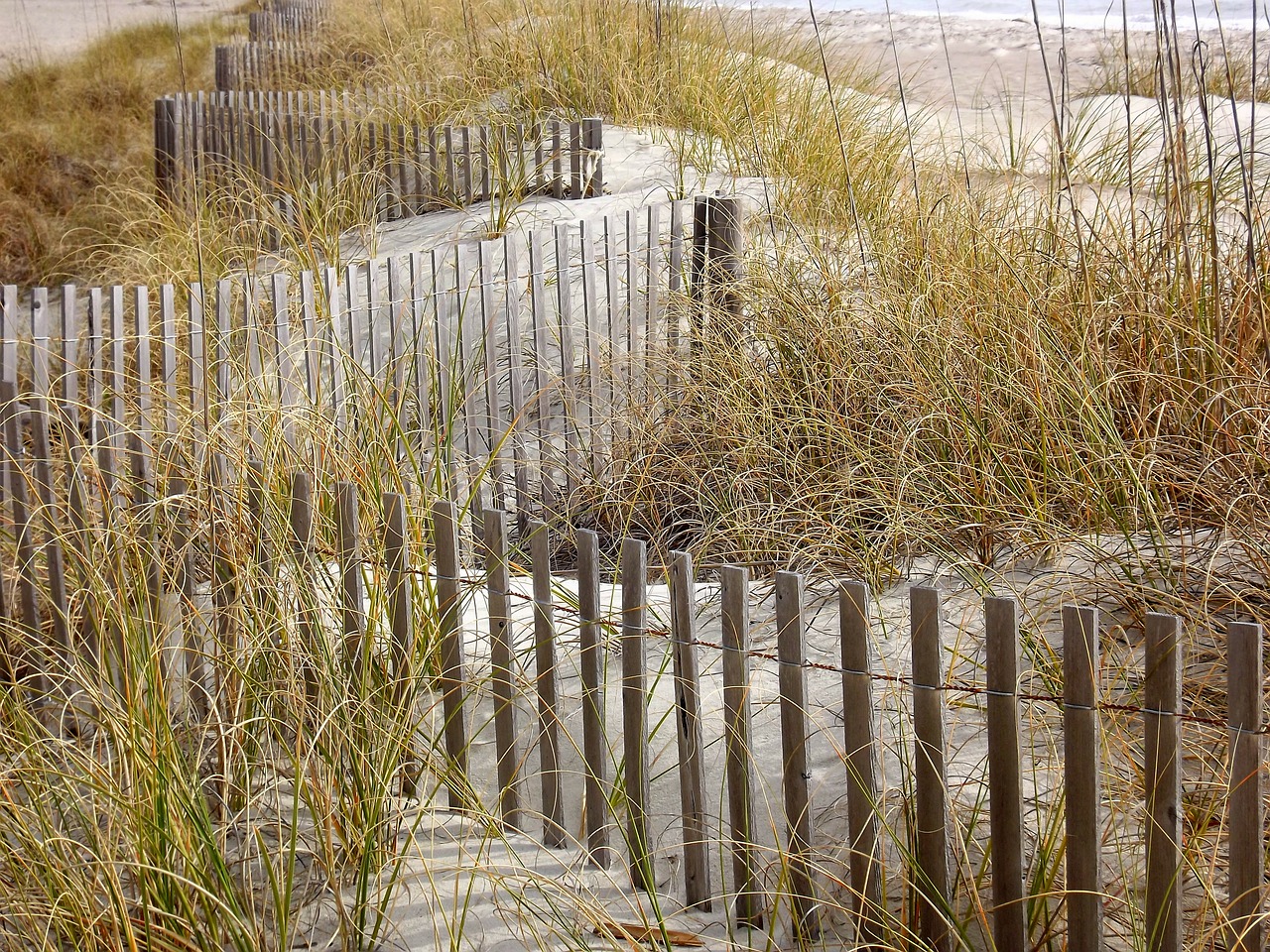 grasses, fence, beach